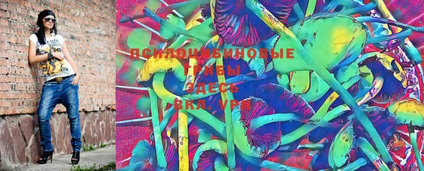 не бодяженный Алзамай