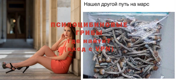 мескалин Алексин