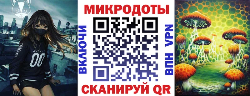 где купить наркоту  мега ONION  Псилоцибиновые грибы GOLDEN TEACHER  Плавск 